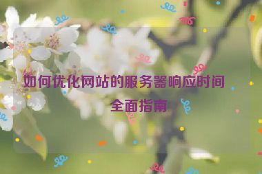 如何優(yōu)化網(wǎng)站的服務(wù)器響應(yīng)時間，全面指南
