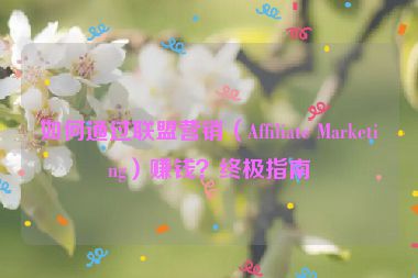 如何通過聯(lián)盟營銷（Affiliate Marketing）賺錢？終極指南