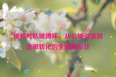 視頻號(hào)私域閉環(huán)，從公域引流到企微轉(zhuǎn)化的全鏈路設(shè)計(jì)