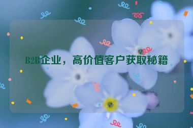 B2B企業(yè)，高價(jià)值客戶獲取秘籍