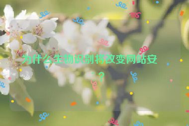 為什么生物識別將改變網(wǎng)站安全？