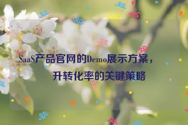 SaaS產(chǎn)品官網(wǎng)的Demo展示方案，提升轉(zhuǎn)化率的關(guān)鍵策略