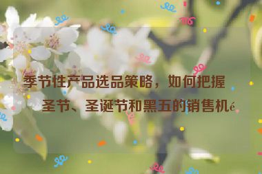 季節(jié)性產品選品策略，如何把握萬圣節(jié)、圣誕節(jié)和黑五的銷售機遇
