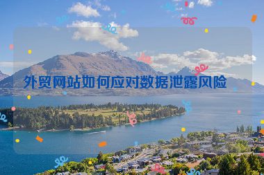 外貿(mào)網(wǎng)站如何應(yīng)對數(shù)據(jù)泄露風(fēng)險(xiǎn)？