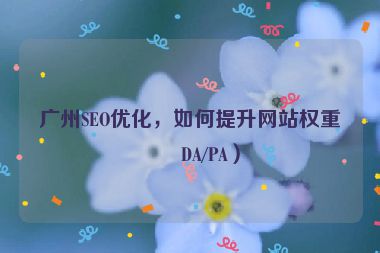 廣州SEO優(yōu)化，如何提升網(wǎng)站權(quán)重（DA/PA）
