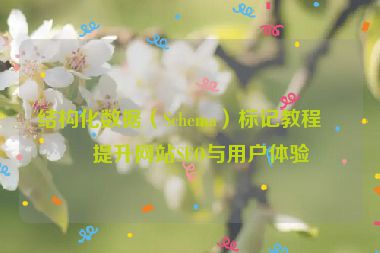結(jié)構(gòu)化數(shù)據(jù)（Schema）標(biāo)記教程，提升網(wǎng)站SEO與用戶體驗(yàn)