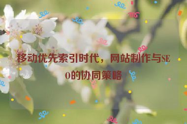 移動(dòng)優(yōu)先索引時(shí)代，網(wǎng)站制作與SEO的協(xié)同策略