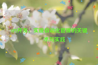 API開發(fā)，實(shí)現(xiàn)自動(dòng)化管理的關(guān)鍵技術(shù)與實(shí)踐