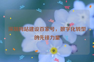 深圳網(wǎng)站建設(shè)百家號，數(shù)字化轉(zhuǎn)型的先鋒力量