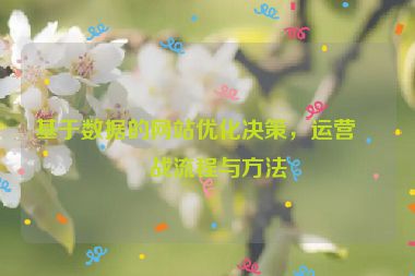 基于數(shù)據(jù)的網(wǎng)站優(yōu)化決策，運(yùn)營實(shí)戰(zhàn)流程與方法