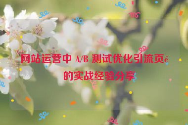 網(wǎng)站運(yùn)營(yíng)中 A/B 測(cè)試優(yōu)化引流頁(yè)面的實(shí)戰(zhàn)經(jīng)驗(yàn)分享