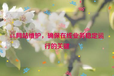 64.網(wǎng)站維護(hù)，確保在線業(yè)務(wù)穩(wěn)定運(yùn)行的關(guān)鍵