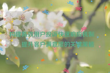 構(gòu)建高效用戶投訴快速響應(yīng)機(jī)制，提升客戶滿意度的關(guān)鍵策略