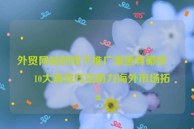 外貿(mào)網(wǎng)站的線下推廣渠道有哪些？10大高效方法助力海外市場拓展