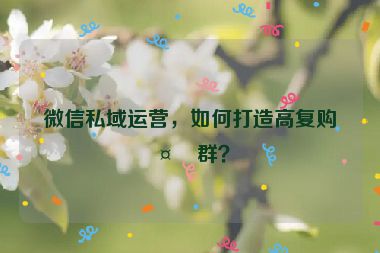 微信私域運(yùn)營，如何打造高復(fù)購社群？