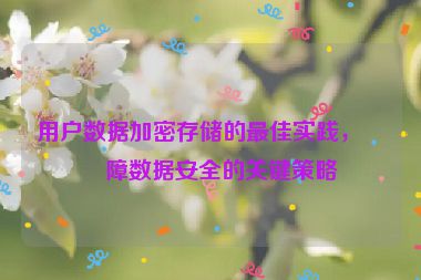 用戶數(shù)據(jù)加密存儲的最佳實踐，保障數(shù)據(jù)安全的關(guān)鍵策略