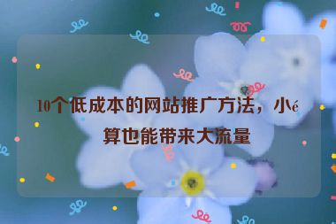 10個(gè)低成本的網(wǎng)站推廣方法，小預(yù)算也能帶來大流量
