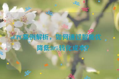 oCPC案例解析，如何通過(guò)智能優(yōu)化降低30%轉(zhuǎn)化成本？