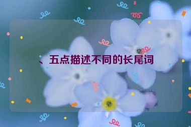 、五點描述不同的長尾詞