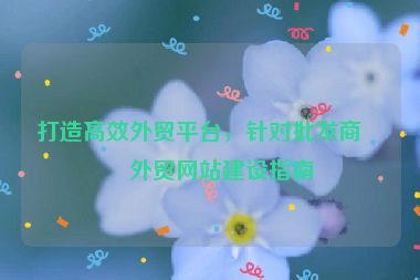 打造高效外貿(mào)平臺(tái)，針對(duì)批發(fā)商的外貿(mào)網(wǎng)站建設(shè)指南