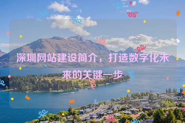 深圳網(wǎng)站建設(shè)簡介，打造數(shù)字化未來的關(guān)鍵一步