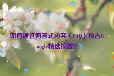 如何通過問答式內(nèi)容（FAQ）搶占Google精選摘要？