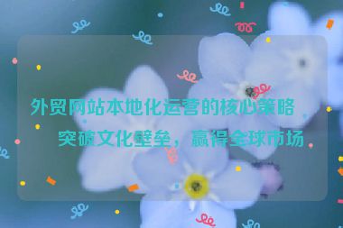 外貿(mào)網(wǎng)站本地化運(yùn)營的核心策略，突破文化壁壘，贏得全球市場