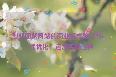 創(chuàng)業(yè)團隊網(wǎng)站的商業(yè)模式驗證與迭代優(yōu)化，運營實戰(zhàn)過程