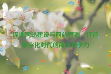 深圳網(wǎng)站建設(shè)與網(wǎng)站營(yíng)銷，打造數(shù)字化時(shí)代的商業(yè)競(jìng)爭(zhēng)力