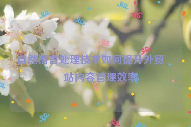 自然語言處理技術(shù)如何提升外貿(mào)網(wǎng)站內(nèi)容管理效率