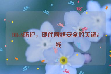 DDoS防護(hù)，現(xiàn)代網(wǎng)絡(luò)安全的關(guān)鍵防線