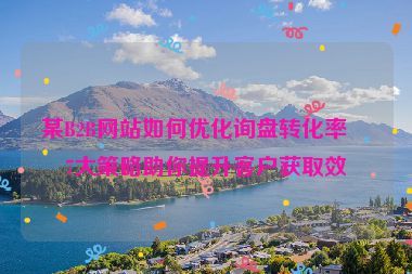 某B2B網(wǎng)站如何優(yōu)化詢盤轉(zhuǎn)化率？7大策略助你提升客戶獲取效率