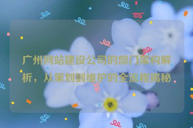廣州網站建設公司的部門架構解析，從策劃到維護的全流程揭秘
