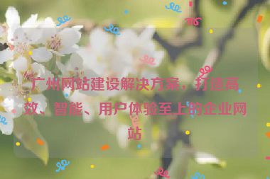 廣州網(wǎng)站建設(shè)解決方案，打造高效、智能、用戶體驗(yàn)至上的企業(yè)網(wǎng)站