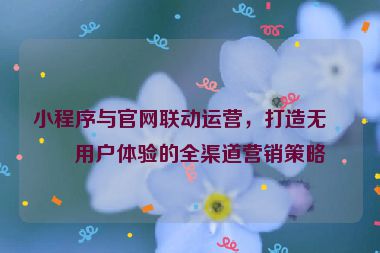 小程序與官網(wǎng)聯(lián)動(dòng)運(yùn)營，打造無縫用戶體驗(yàn)的全渠道營銷策略