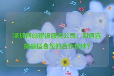 深圳網(wǎng)站建設(shè)服務(wù)公司，如何選擇最適合您的合作伙伴？