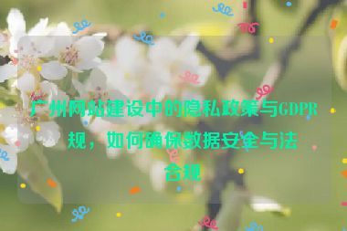 廣州網(wǎng)站建設(shè)中的隱私政策與GDPR合規(guī)，如何確保數(shù)據(jù)安全與法律合規(guī)