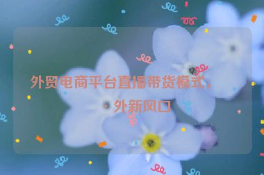外貿電商平臺直播帶貨模式，海外新風口