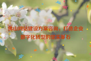 佛山網(wǎng)站建設(shè)方案咨詢，打造企業(yè)數(shù)字化轉(zhuǎn)型的堅(jiān)實(shí)基石