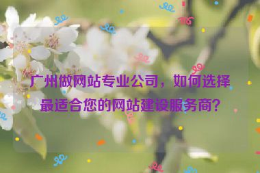 廣州做網(wǎng)站專(zhuān)業(yè)公司，如何選擇最適合您的網(wǎng)站建設(shè)服務(wù)商？