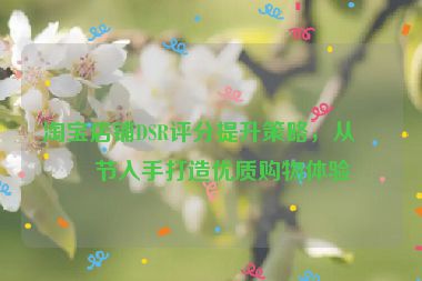 淘寶店鋪DSR評(píng)分提升策略，從細(xì)節(jié)入手打造優(yōu)質(zhì)購物體驗(yàn)