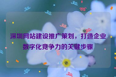 深圳網(wǎng)站建設(shè)推廣策劃，打造企業(yè)數(shù)字化競(jìng)爭(zhēng)力的關(guān)鍵步驟