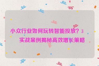 小眾行業(yè)如何玩轉(zhuǎn)智能投放？3個實戰(zhàn)案例揭秘高效增長策略