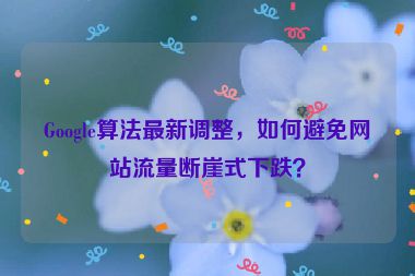 Google算法最新調(diào)整，如何避免網(wǎng)站流量斷崖式下跌？
