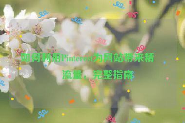 如何利用Pinterest為網(wǎng)站帶來精準(zhǔn)流量，完整指南
