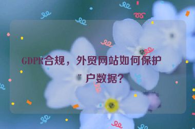 GDPR合規(guī)，外貿(mào)網(wǎng)站如何保護(hù)用戶數(shù)據(jù)？