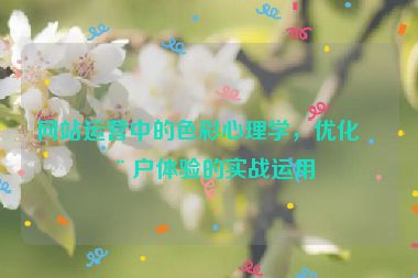 網(wǎng)站運(yùn)營(yíng)中的色彩心理學(xué)，優(yōu)化用戶體驗(yàn)的實(shí)戰(zhàn)運(yùn)用