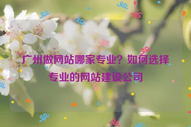 廣州做網(wǎng)站哪家專業(yè)？如何選擇專業(yè)的網(wǎng)站建設公司