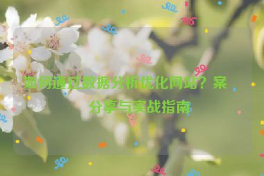如何通過數(shù)據(jù)分析優(yōu)化網(wǎng)站？案例分享與實戰(zhàn)指南