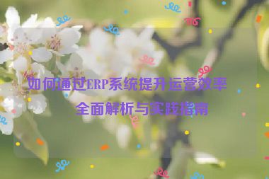 如何通過ERP系統(tǒng)提升運營效率，全面解析與實踐指南